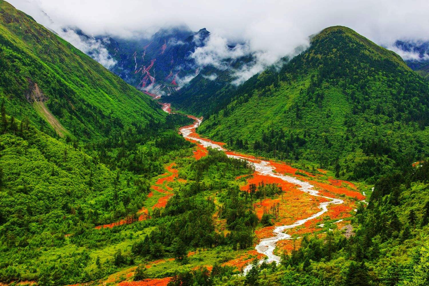 探寻四川，天府之国的魅力与传奇揭秘